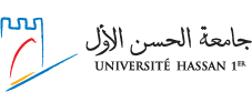 <span>Université Hassan I de Settat </span>
