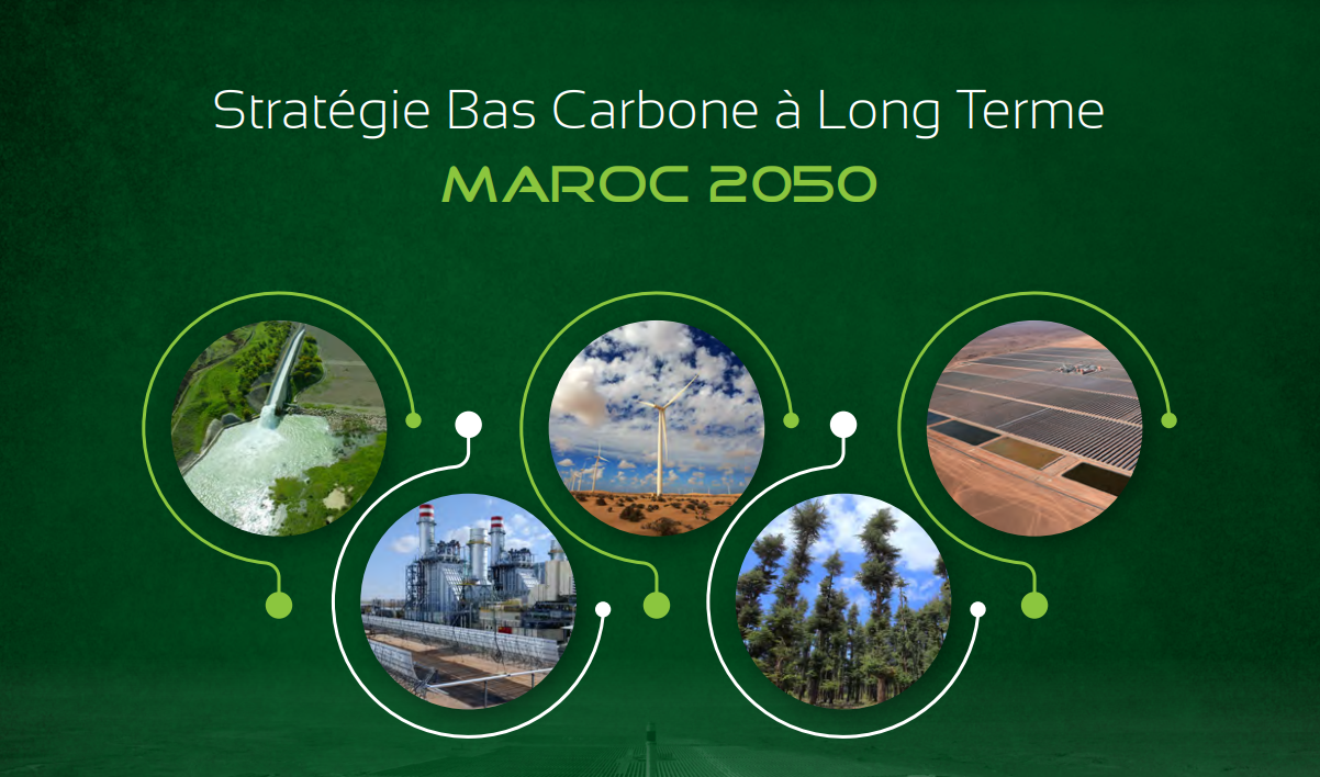 <span>Stratégie bas carbone 2050</span>
