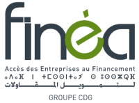 <span>Finéa</span>
